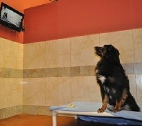 The Barkers Pet Center - Fort Lauderdale, FL