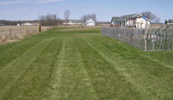 Fresh Cut Lawn/Shrub Care - Mount Pleasant, MI