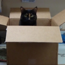Homestead Veterinary Clinic - Veterinarians