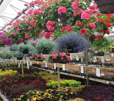 Echter's Nursery & Garden Center - Arvada, CO