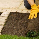 Green Thumb Landscaping Inc - Sod & Sodding Service