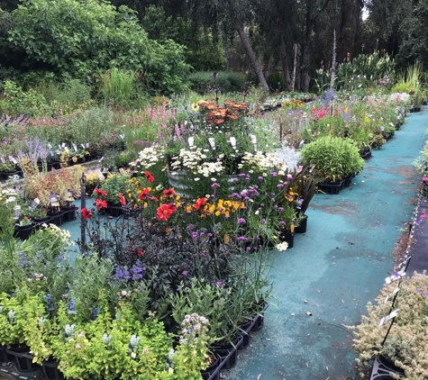 Tupelo Grove Nursery Pty Ltd - Mylor, SA