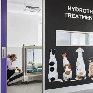 PetFocus Vetcare - Lavington, NSW