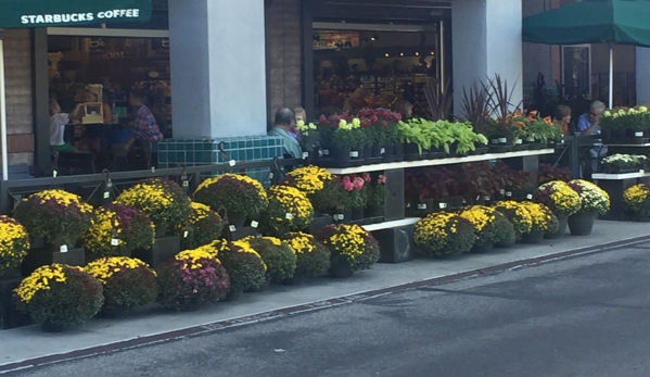 Bashas' Grocery Stores - Tucson, AZ