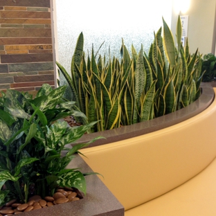 Greenleaf-Interior Plant Solutions - San Diego, CA