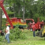 Larrys Stump Grinding and Tree Service