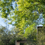 Gallery Image Number 7