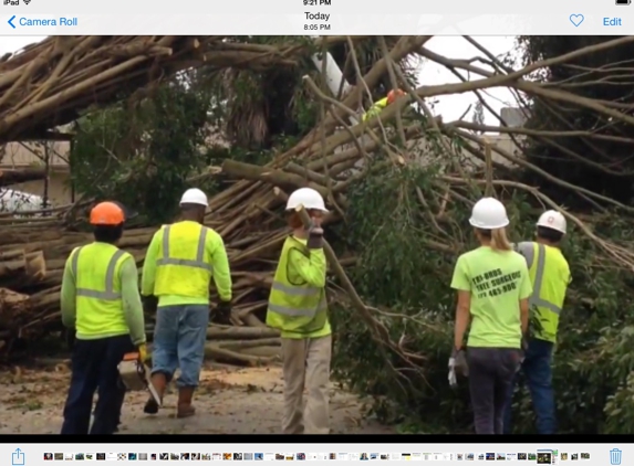 Tri-Brothers Tree & Landscaping - Port Saint Lucie, FL