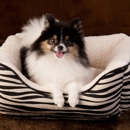 J'adore Custom Pet Beds - Dog & Cat Furnishings & Supplies
