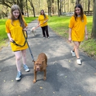 Yella Dawg Farms