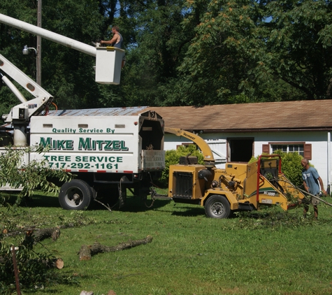 Mike Mitzel's Tree Service - Dover, PA. Clean Up