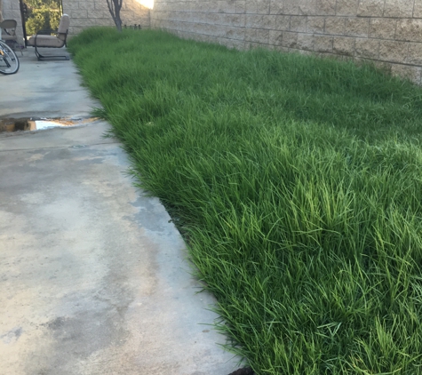 De Leon Landscaping - Riverside, CA. No yardwork done for almost one month now despite having been paid