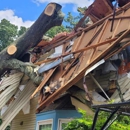 Paul's Tree Service - Tree Service