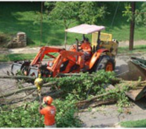 Miller Tree Service - Advance, NC