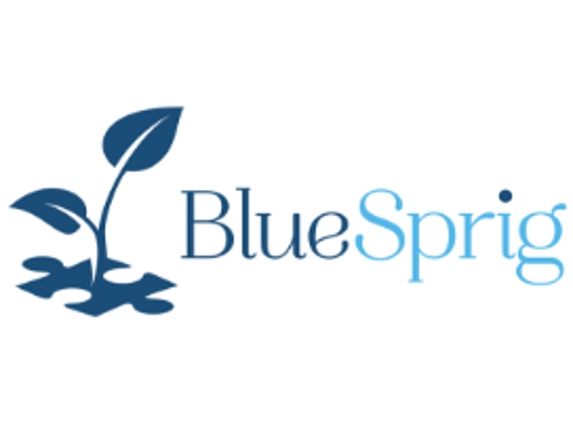 BlueSprig - Olivette, MO