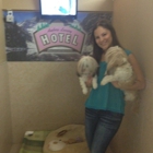 Amber's Luxury Pet Hotel