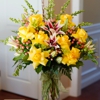 Harmonic Blooms gallery