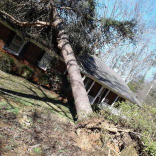 Tree Care - Gastonia, NC