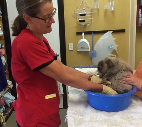 Sandy Bay Holistic Veterinary Clinic - Sandy Bay, TAS