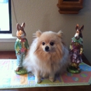Petco - Pet Services