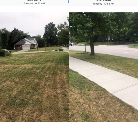 Cost Cutting Lawncare