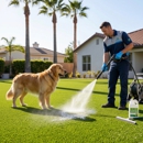 Turf Cleaning San Diego - Lawn Maintenance