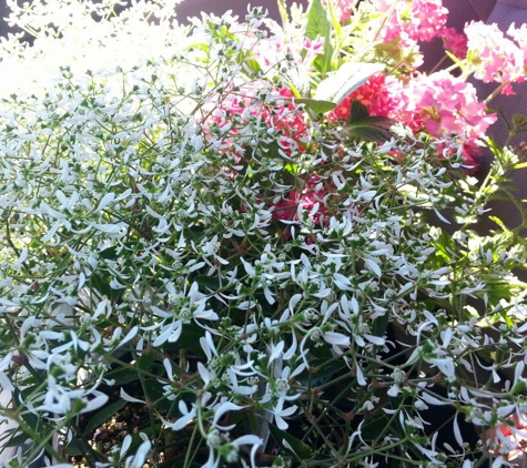 Chuck Hafner's Farmers Market & Garden Center - Syracuse, NY