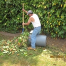 YARD CLEAN UP DOS AMIGOS - Landscape Contractors