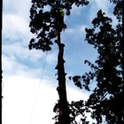 J & M Tree Service