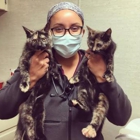 South Deerfield Veterinary Clinic