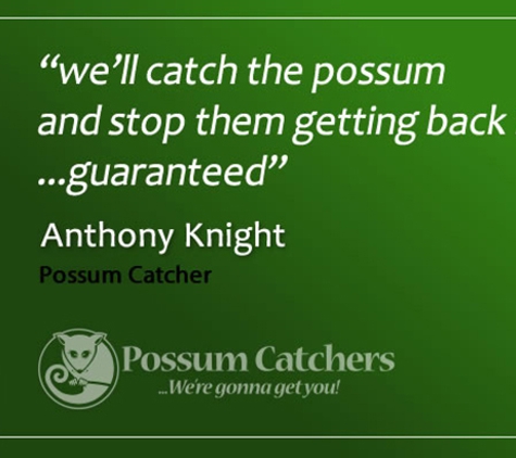 Possum Catchers - Balwyn North, VIC
