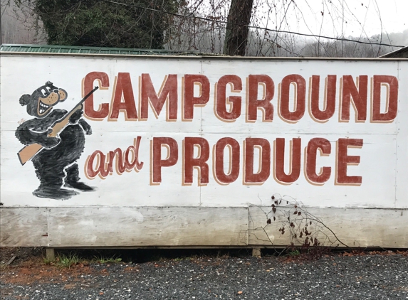 Bearhunter Campground - Bryson City, NC