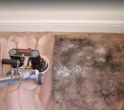 Nova Rugs Carpet Cleaning Sterling - Sterling, VA