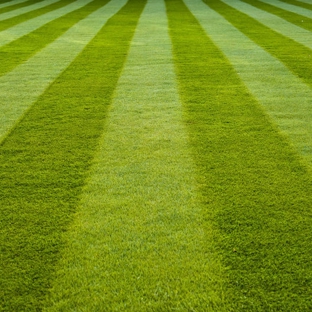 Border Cleaning Services Pty Limited - Wodonga, VIC