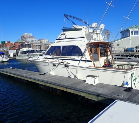 Mass Maritime Marine - North Weymouth, MA