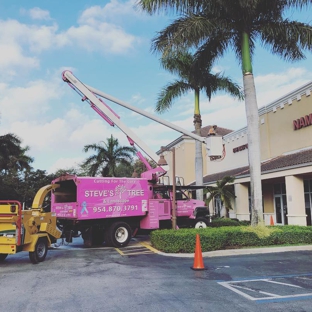 Steves Tree and Landscape Corp - Palmetto Bay, FL. Hard at work