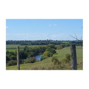 Gallery Image Number 6