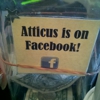 Atticus Coffee & Gifts gallery