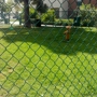 Garden Grove Dog Park