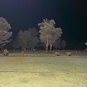 Gallery Image Number 7