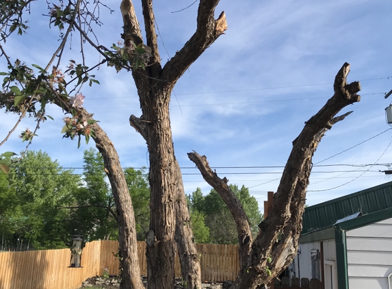 A Few Good Men Landscaping & Tree Removal - Great Falls, MT