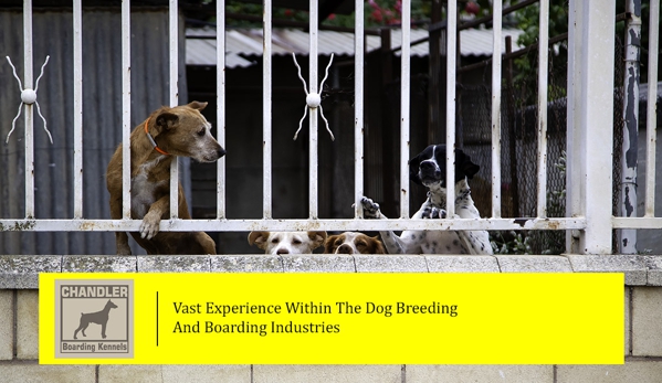 Chandler Boarding Kennels - Chandler, QLD. Vast Experience Within The Dog Breeding And Boarding Industries