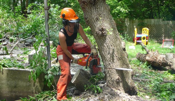 Chop Chop Tree - San Antonio, TX