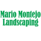 Mario Montejo Landscaping