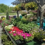 Mountaineer Garden Center Florist & Greenhouses