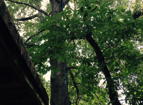 Del's Tree Service, LLC - Shawnee Mission, KS