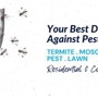 Defense Pest Solutions