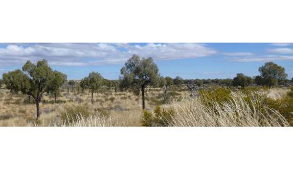 Low Ecological Services Pty Ltd - Connellan, NT