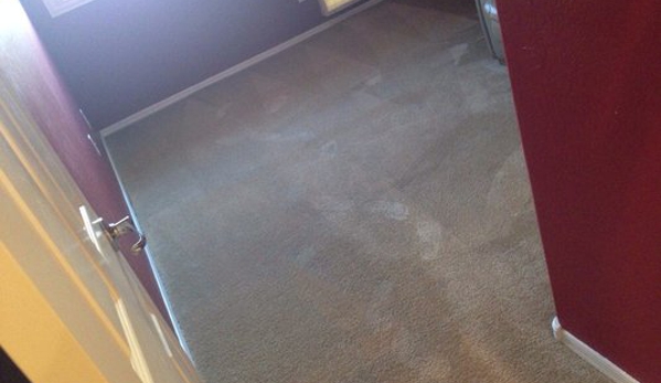 Sweettouch Carpet Cleaning - Peoria, AZ