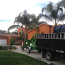 Ezra Tree Care & Landscaping - Tree Service